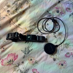 Fi Series 3 GPS Dog Collar with Base and Gray Size Medium Collar